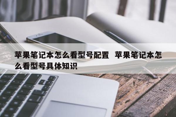 苹果笔记本怎么看型号配置  苹果笔记本怎么看型号具体知识