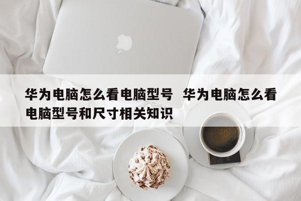 华为电脑怎么看电脑型号  华为电脑怎么看电脑型号和尺寸相关知识